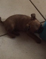 NAIKO